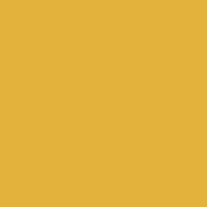 U163 ST9 Curry Yellow