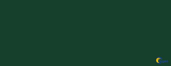 U606 ST9 Forest Green