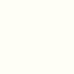 W1001 ST9 Solid Premium White