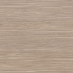 Buff Elm 5793