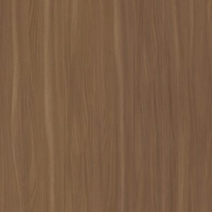 Camel Elm 5795