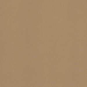 Cardboard Solidz 7813
