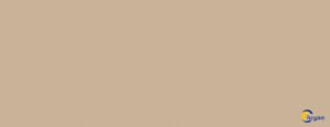 Mojave 8751