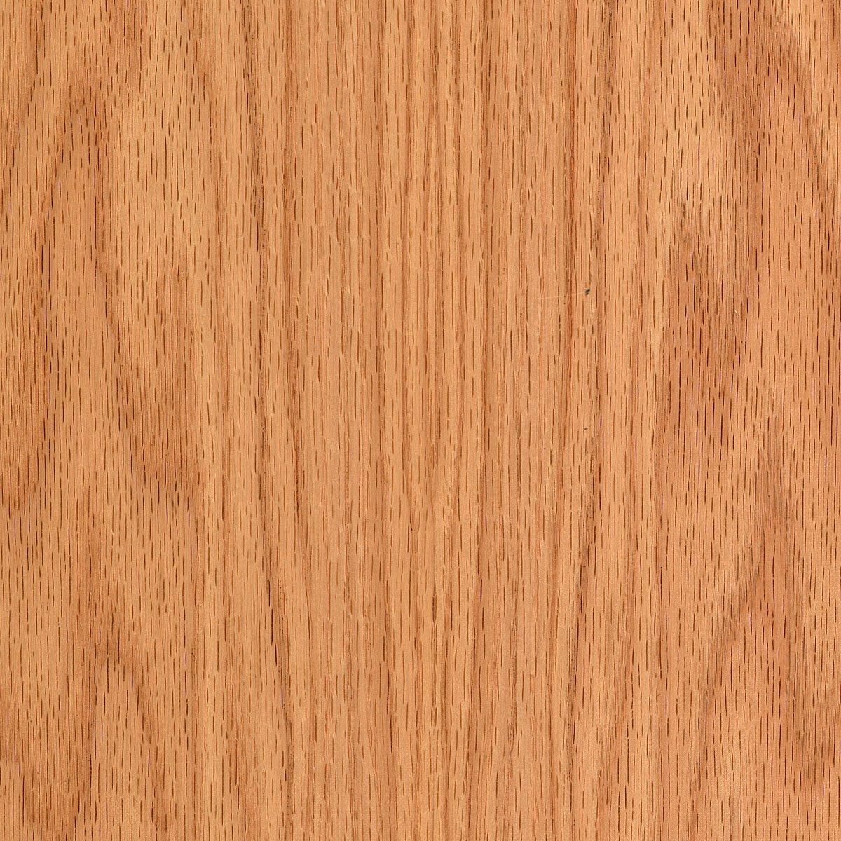Red Oak Wood Veneer