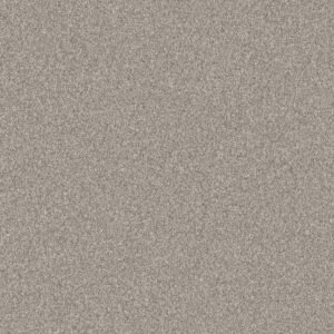 00503