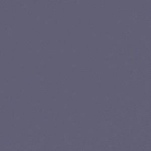 01196