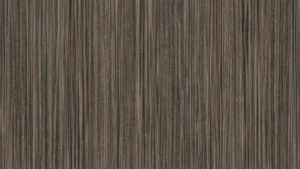 H3003 ST19