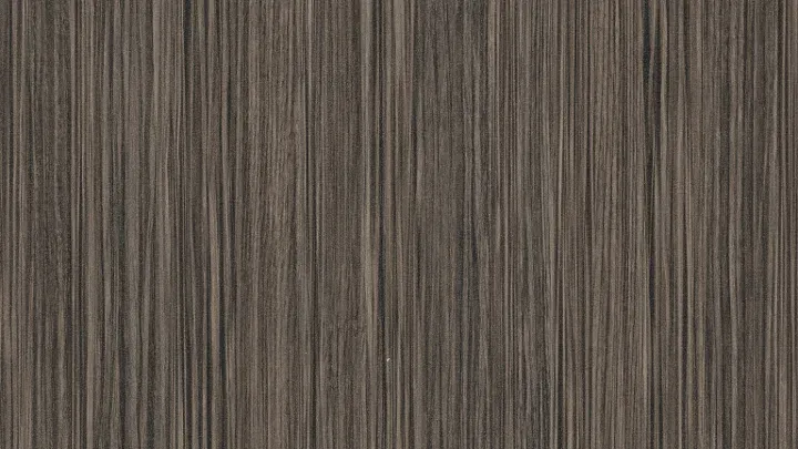 H3003 ST19