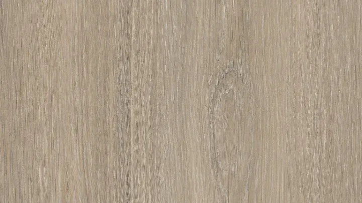 H3146 ST19