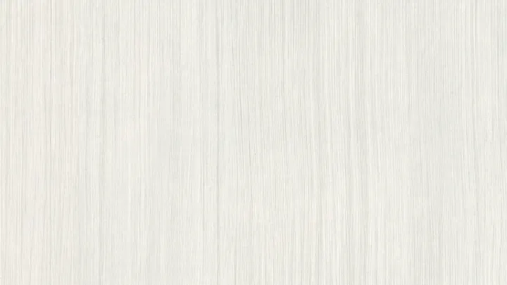 H3195 ST19