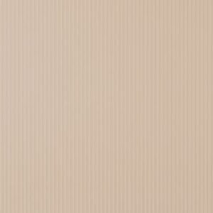 Cleaf traccia edge banding ub31 - Image 1